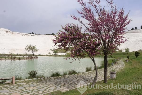 Pamukkale rengarenk