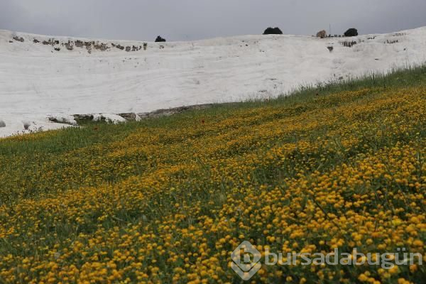 Pamukkale rengarenk