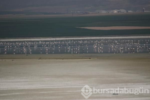 180 kuş türüne ev sahipliği yapan göl kuruyor!