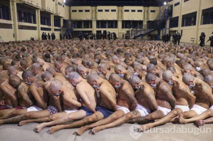 Tüm dünya bu fotoğrafı konuşuyor! Mahkumları soydular, sıraya dizip...