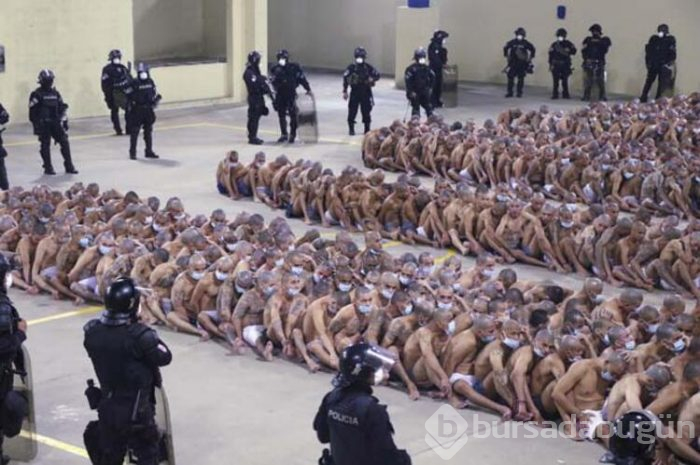Tüm dünya bu fotoğrafı konuşuyor! Mahkumları soydular, sıraya dizip...