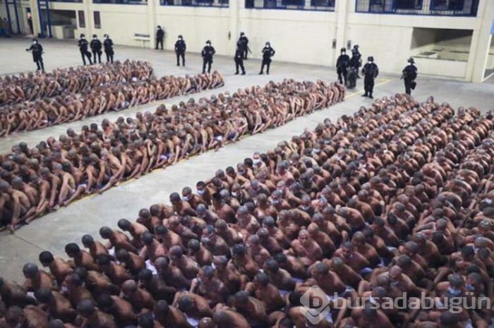 Tüm dünya bu fotoğrafı konuşuyor! Mahkumları soydular, sıraya dizip...