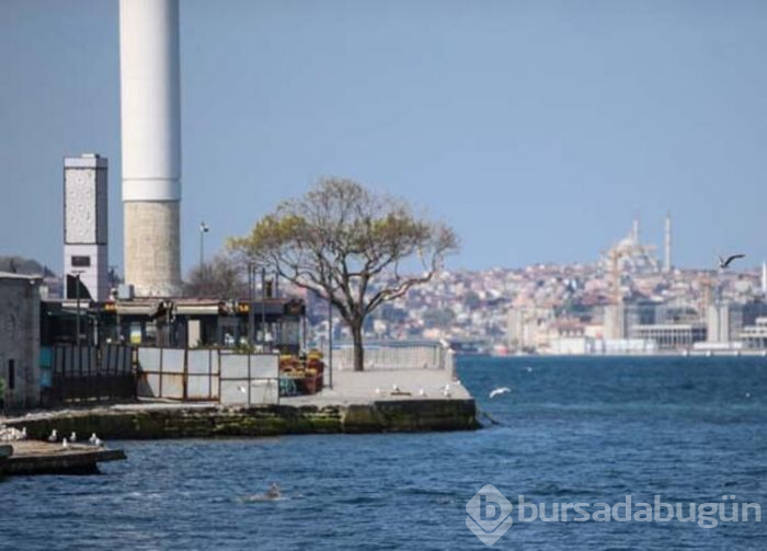 İstanbul Boğazı'nda yunuslar görülüyor