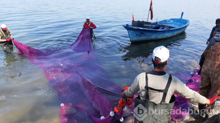 Bursa'nın İznik İlçesinde 2 günde 20 ton avladılar!