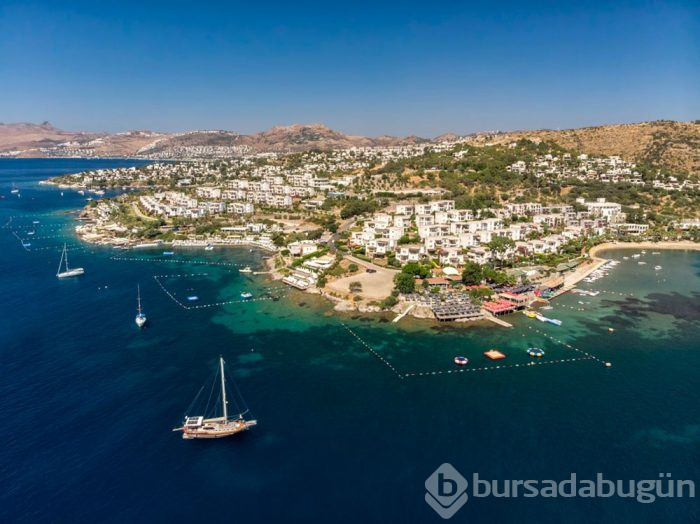 Bodrum'da ilk kez görüldü