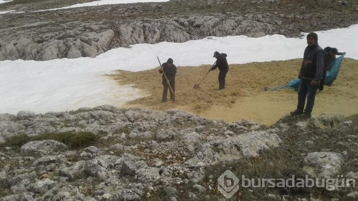 Bu yöntemle Ağustos ayına kadar kar saklanabiliyor