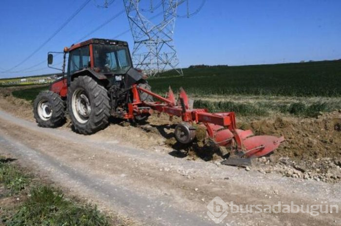 Tekirdağ'a kaçak gelenler tarlalara zarar verdi