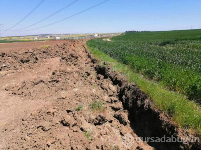 Tekirdağ'a kaçak gelenler tarlalara zarar verdi