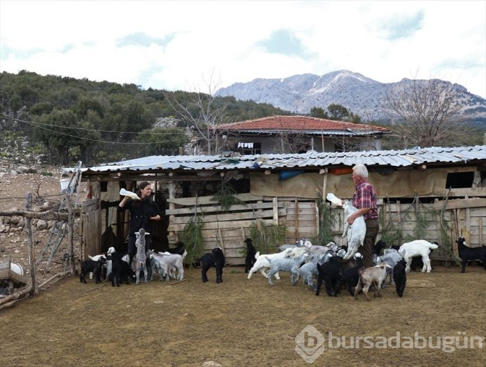 Yörük kızı Büşra, imkansızlıklar içinde doğayı resimleriyle süslüyor