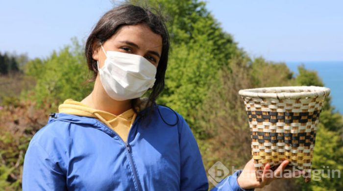 Kilosu 4 bin 500 lira olan çay, toplanmaya başlandı