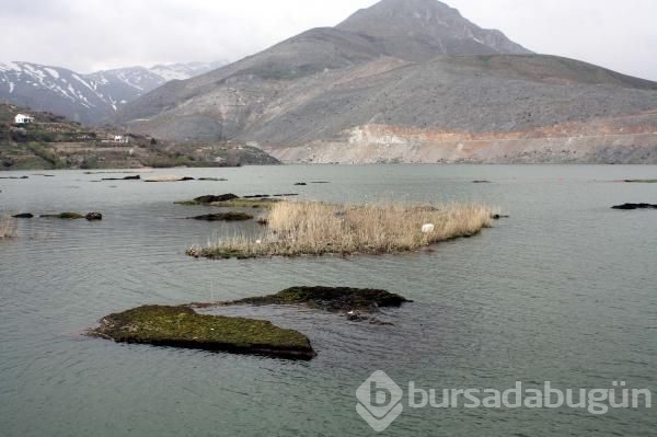 Adıyaman'da ziyaret yasağı! 