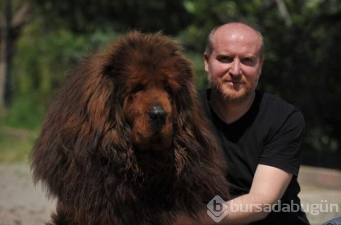 12 ülke, Bursa'daki 300 bin liralık köpeğin peşinde