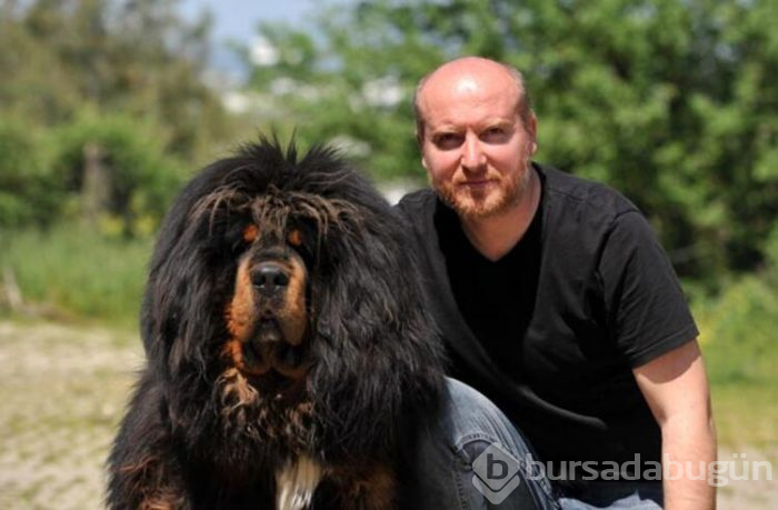 12 ülke, Bursa'daki 300 bin liralık köpeğin peşinde