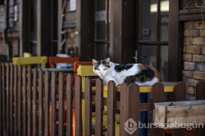 İstanbul'un o ilçesini hiç böyle görmediniz!