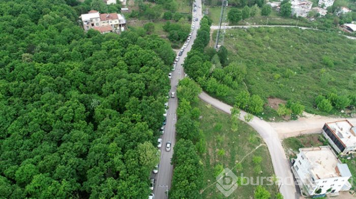 Bursa'da yasak öncesi yine uzun kuyruklar oluştu