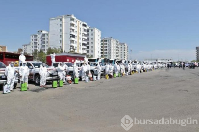 Diyarbakır'da böcek mücadelesi! 