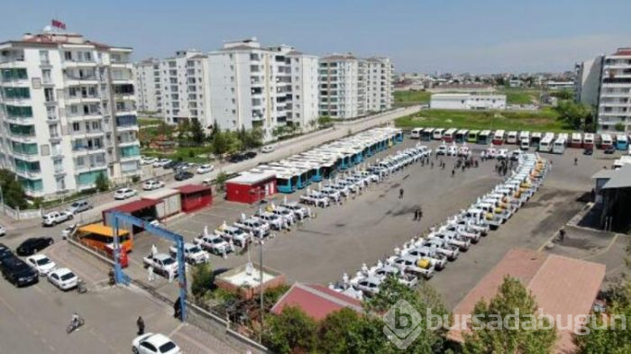 Diyarbakır'da böcek mücadelesi! 
