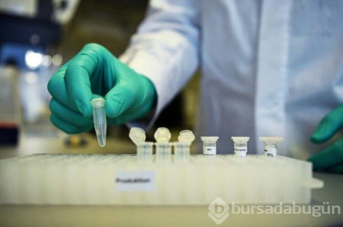 Ebola ilacı umut oldu