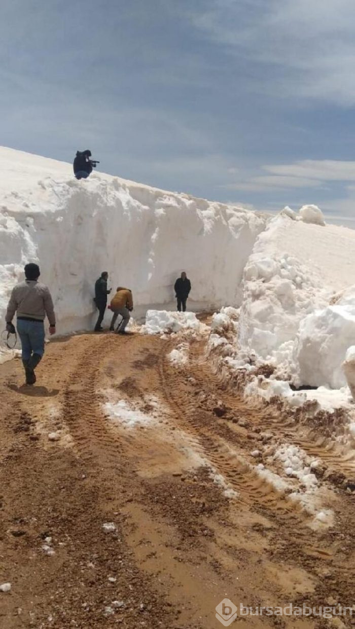 Antalya'da kar mücadelesi! 