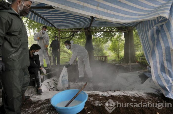 Dünyanın dört bir yanından kan donduran fotoğraflar!