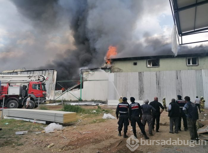 Bursa Gürsu'da yangın	