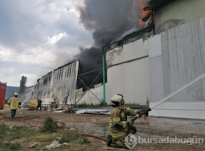 Bursa Gürsu'da yangın	