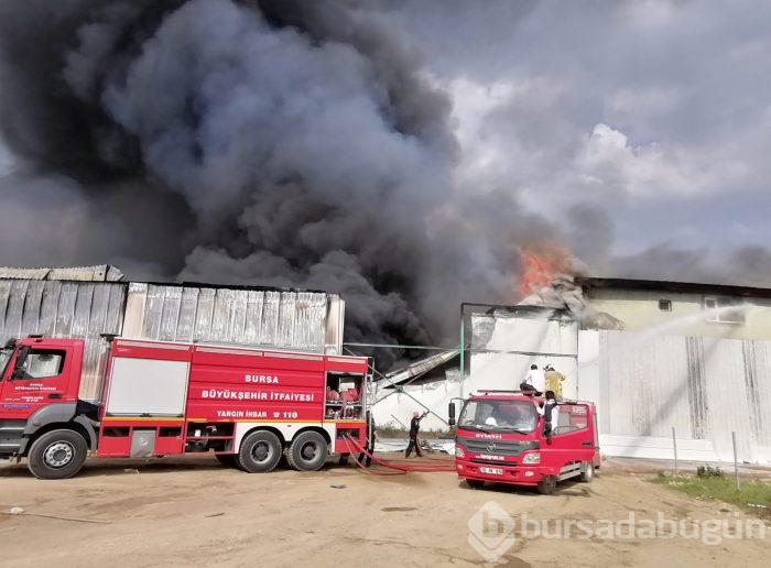 Bursa Gürsu'da yangın	