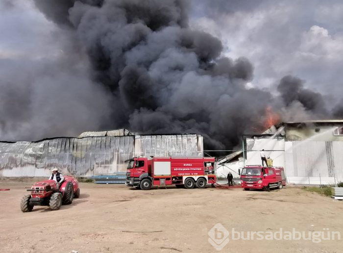 Bursa Gürsu'da yangın	