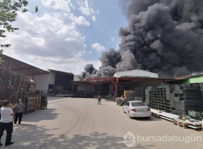 Bursa Gürsu'da yangın	