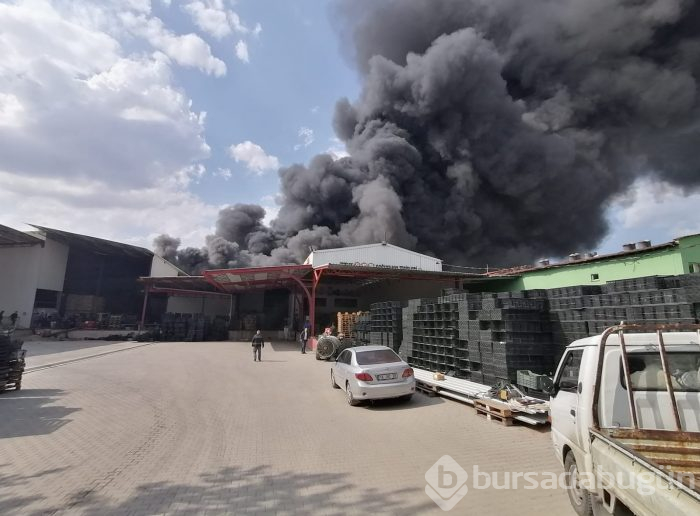 Bursa Gürsu'da yangın	
