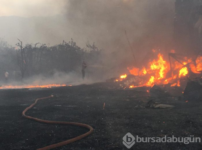 Bursa Gürsu'da yangın	