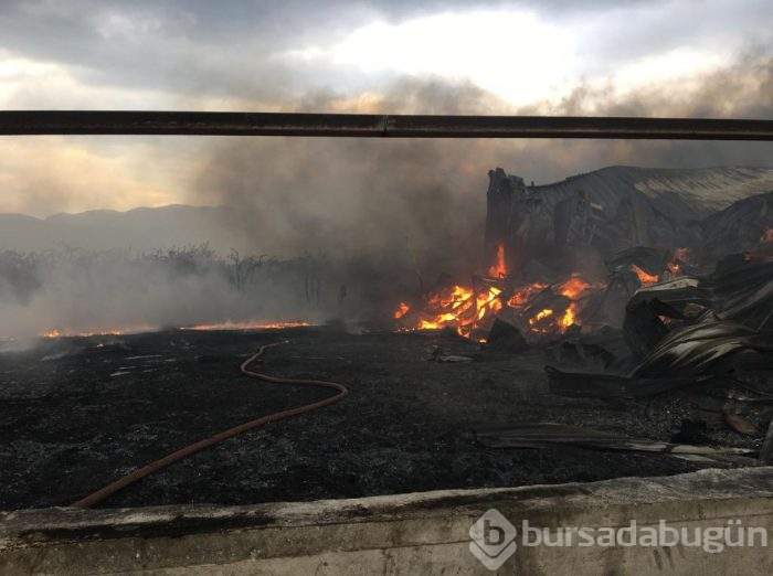Bursa Gürsu'da yangın	