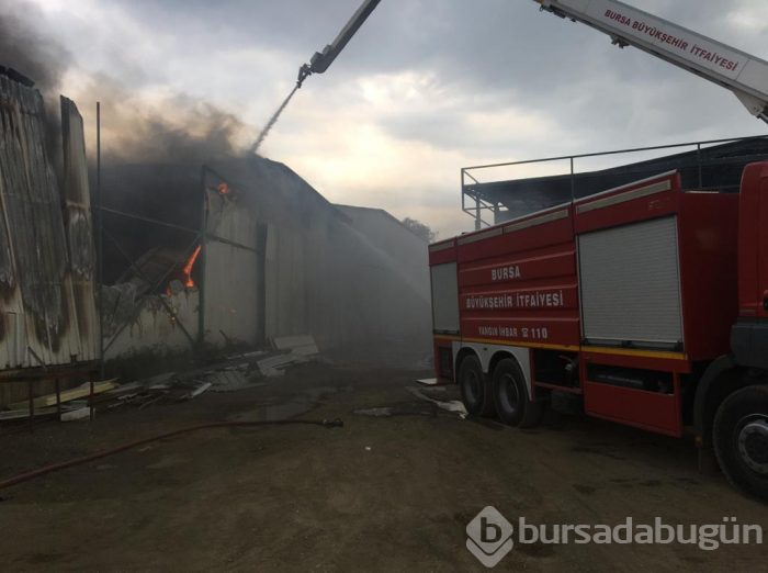 Bursa Gürsu'da yangın	