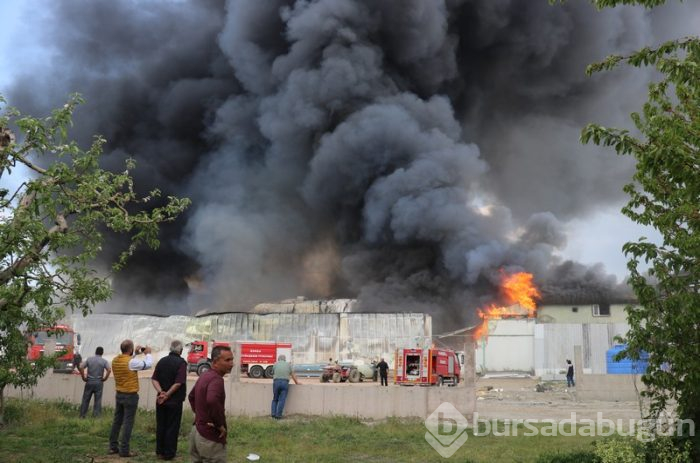 Bursa Gürsu'da yangın	