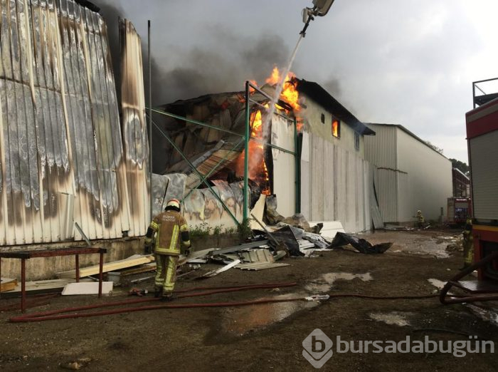 Bursa Gürsu'da yangın	