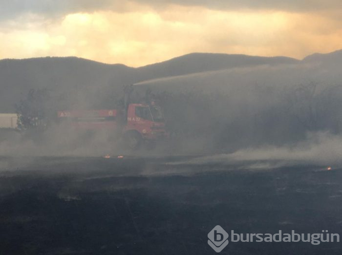 Bursa Gürsu'da yangın	