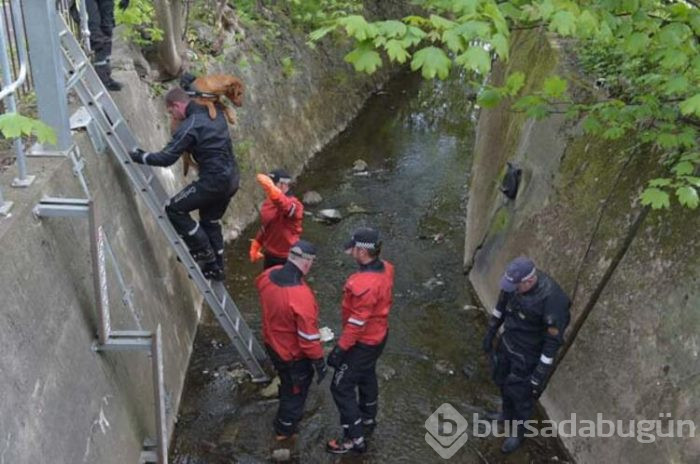 4 aydır kayıp! Parkta ve gölde aramalara devam ediliyor...