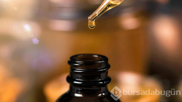 Propolis ne işe yarar?