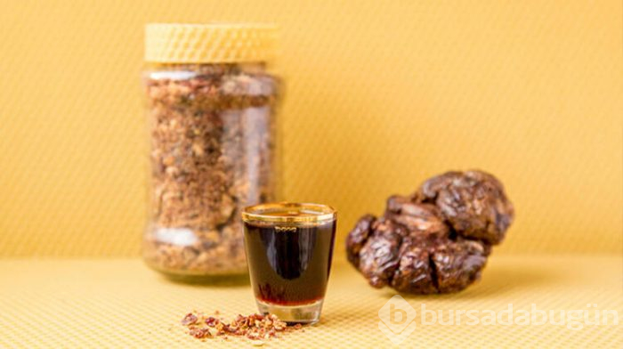 Propolis ne işe yarar?
