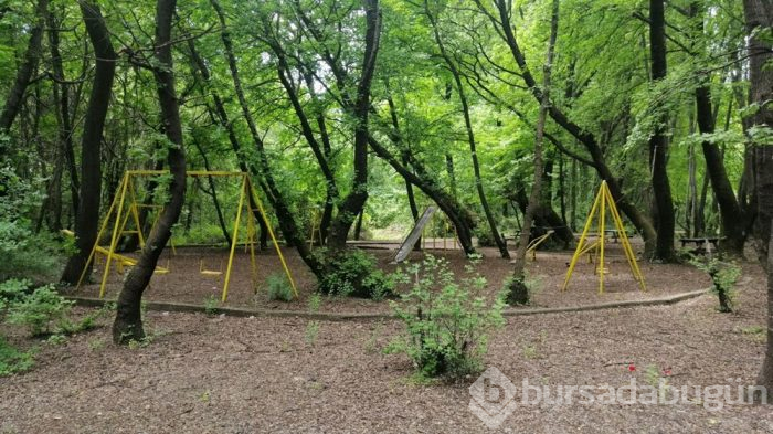 Muğla'da cennet köşesi; Sığla Ormanları