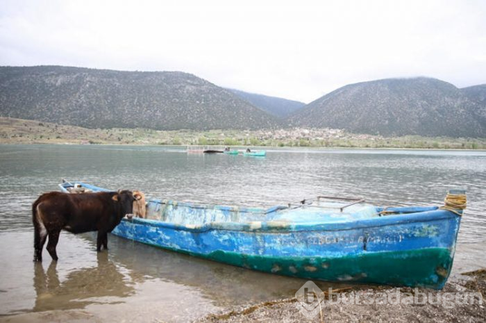 Mada Adası'nda renkli görüntüler 