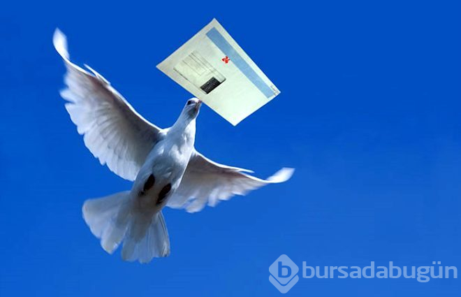 Posta güvercinleri yollarını nasıl buluyordu? 