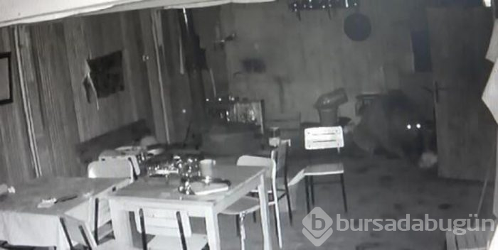 Alabalık tesisine ayı girdi! 