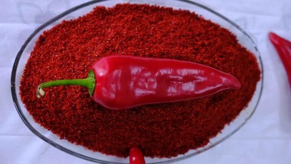 Pul biber düzenli kullanılırsa virüsten korur mu? 