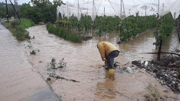 Mersin'in Erdemli ilçesinde 'dolu' seralara zarar verdi
