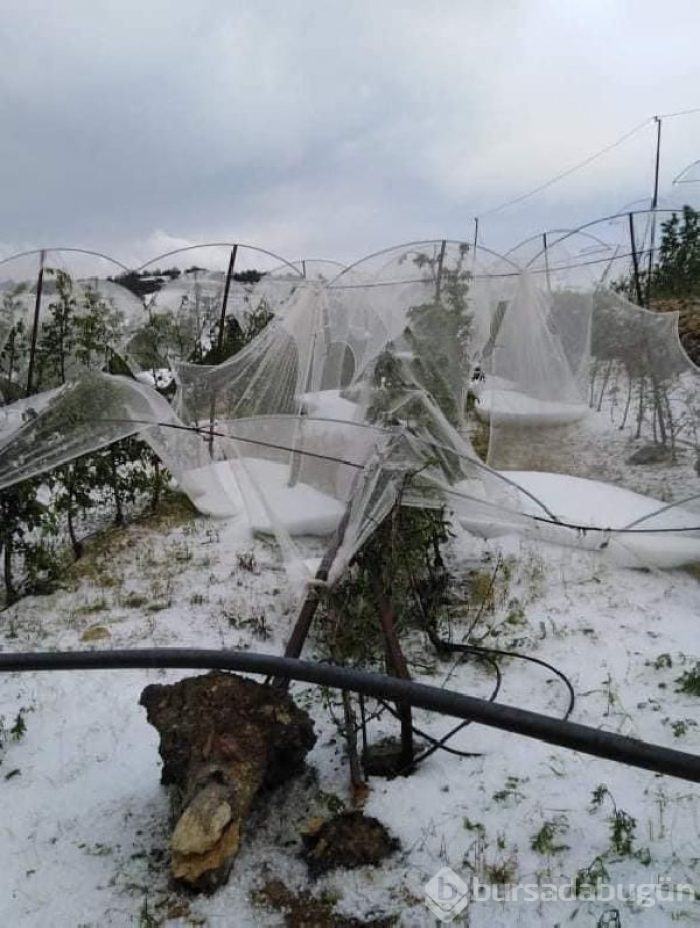 Mersin'in Erdemli ilçesinde 'dolu' seralara zarar verdi