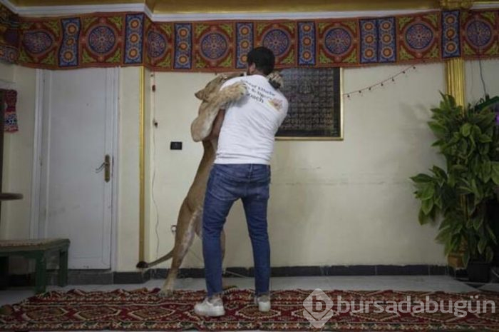 Evinin oturma odasını sirke çevirdi!