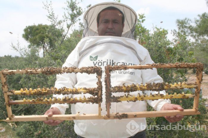 Bu sütün kilosu 16 bin lira! 