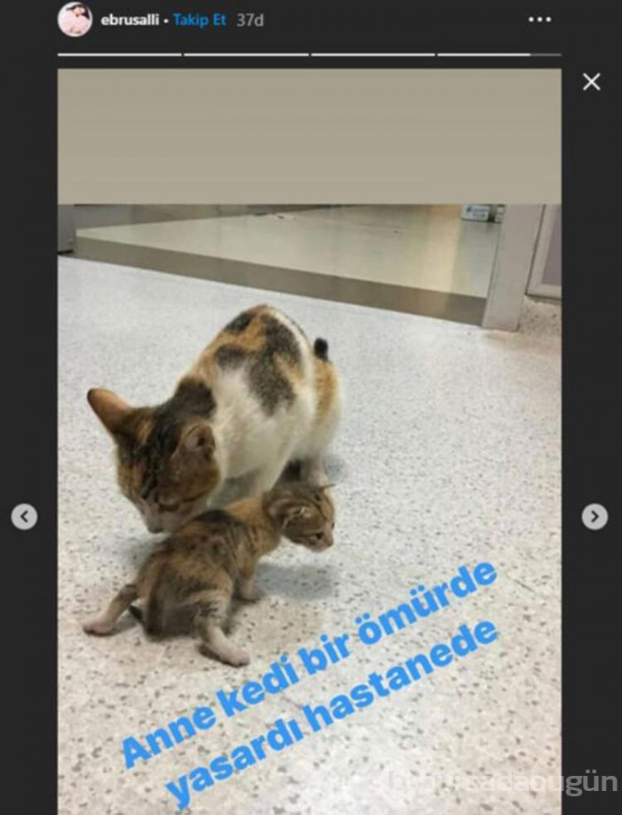 Ebru Şallı'nın duygulandıran paylaşım