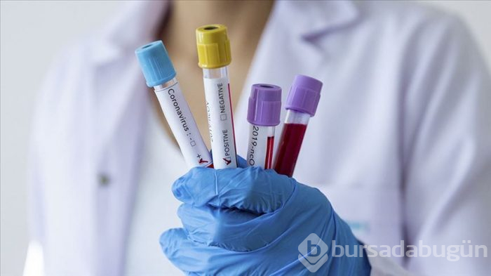 Prof. Dr. Ceyhan'dan 'AVM' uyarısı!